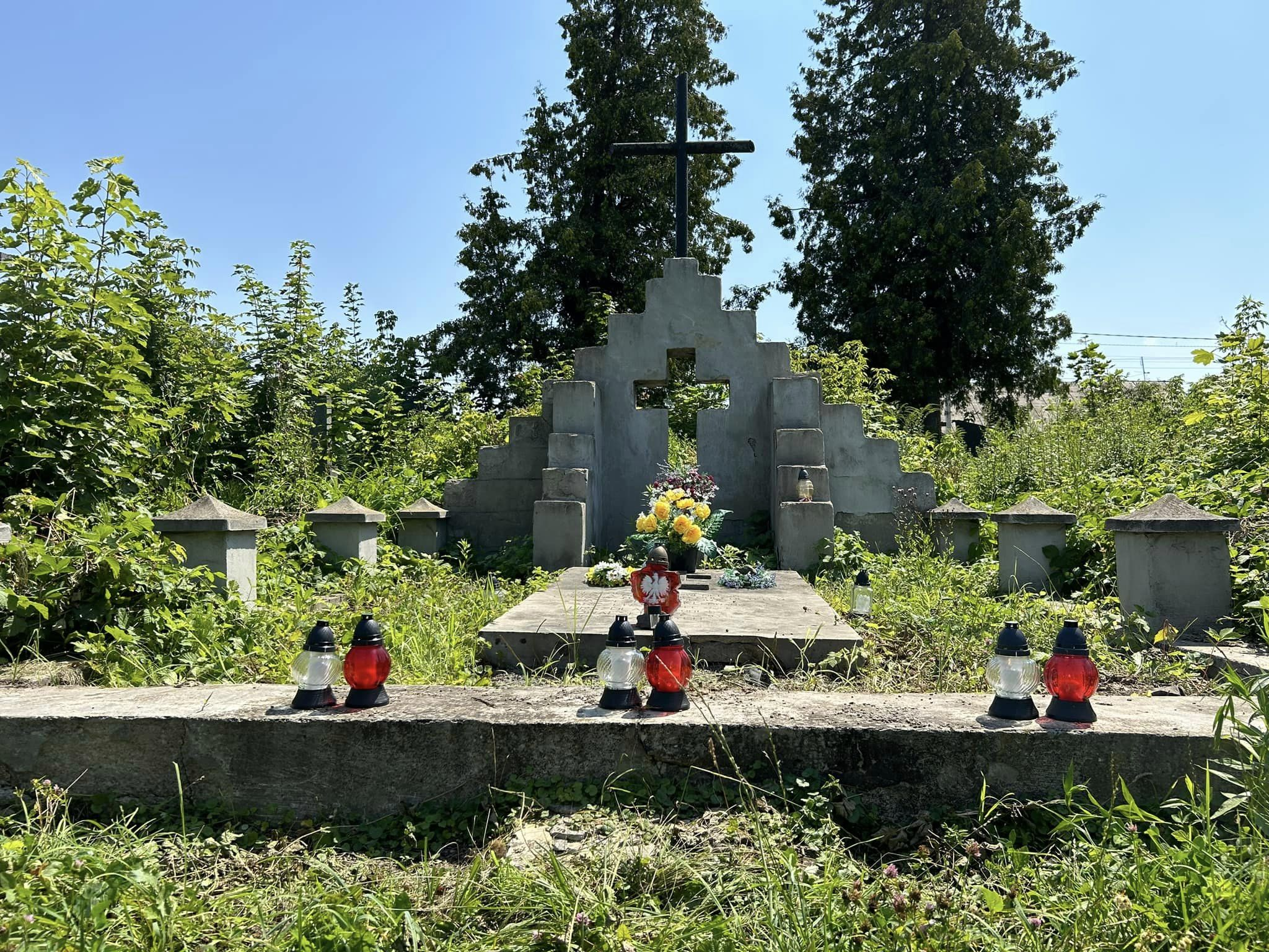 Image 13