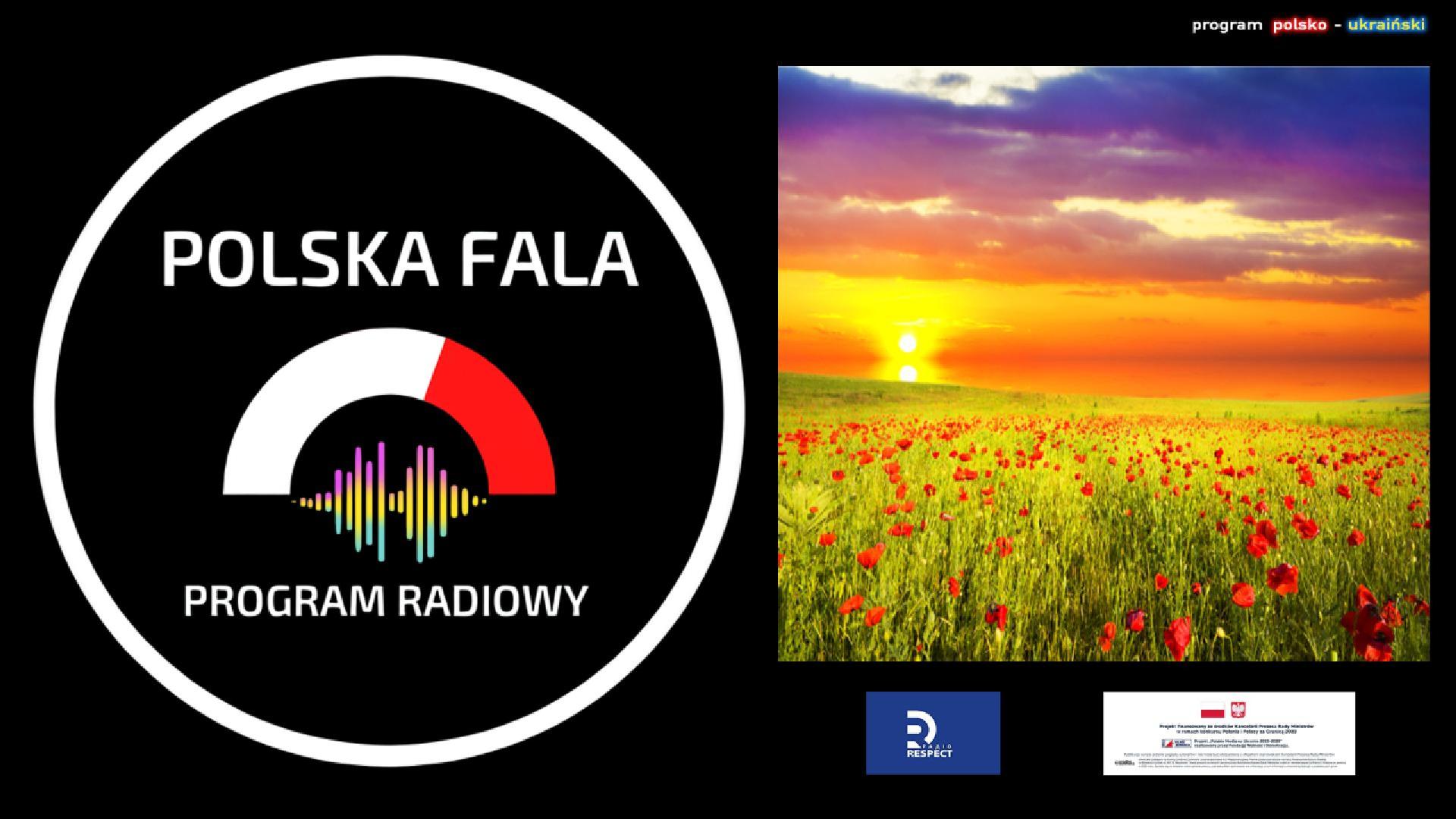 Polska fala cover